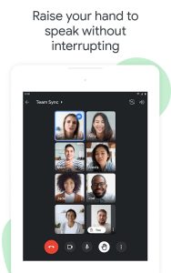 Google Meet screenshot 10
