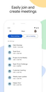 Google Meet screenshot 7