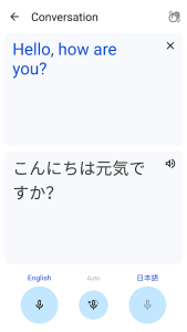 Google Translate screenshot 5