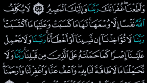 القرآن الكريم كامل بدون انترنت screenshot 7
