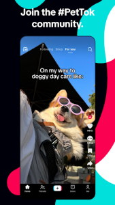 TikTok screenshot 5