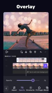 VivaCut - Pro Video Editor APP screenshot 8