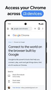 Google Chrome screenshot 5