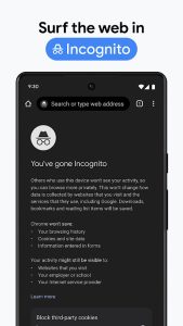 Google Chrome screenshot 6