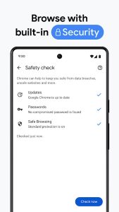 Google Chrome screenshot 7