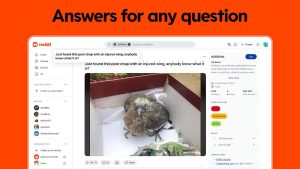 Reddit screenshot 9