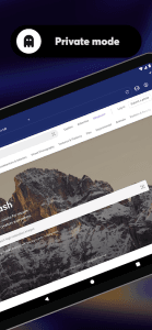 Opera browser with AI screenshot 9